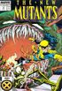 Os Novos Mutantes #70 (1988)