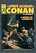 A Espada Selvagem de Conan - A Coleo Volume 22