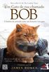 Um Gato de Rua Chamado Bob