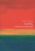 Jung: A Very Short Introduction (Very Short Introductions Book 40) (English Edition)