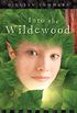Into the Wildewood (The Faire Folk Saga Book 2) (English Edition)