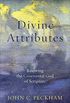 Divine Attributes: Knowing the Covenantal God of Scripture (English Edition)