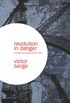 Revolution In Danger (English Edition)