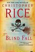 Blind Fall: A Novel (English Edition)