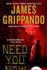 Need You Now (Andie Henning Book 3) (English Edition)