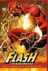 Flash: Renascimento