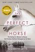 The Perfect Horse: The Daring U.S. Mission to Rescue the Priceless Stallions Kidnapped by the Nazis (English Edition)