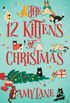 The 12 kittens of christmas