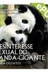 Desinteresse sexual do Panda Gigante