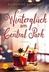 Winterglck am Central Park (German Edition)