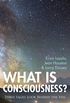 What is Consciousness?: Three Sages Look Behind the Veil (A New Paradigm Book) (English Edition)