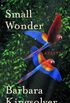 Small Wonder (English Edition)