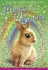 Magic Bunny: Holiday Dreams (English Edition)