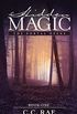 Hidden Magic: The Portal Opens (The Hidden Magic Series Book 1) (English Edition)