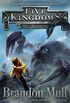 Sky Raiders (Five Kingdoms Book 1) (English Edition)