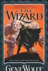 The Wizard: Book Two of The Wizard Knight