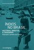 ndios no Brasil: Histria, direitos e cidadania (Agenda Brasileira)