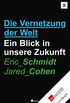 Die Vernetzung der Welt: Ein Blick in unsere Zukunft (German Edition)