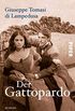 Der Gattopardo: Roman (German Edition)