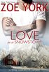 Love in a Snowstorm (Pine Harbour Book 2) (English Edition)