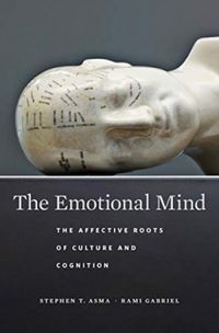 The emotional mind