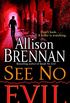 See No Evil (No Evil Trilogy Book 2) (English Edition)