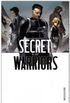 Secret Warriors, Vol. 5