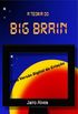 A Teoria do Big Brain