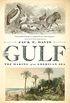 The Gulf: The Making of An American Sea (English Edition)