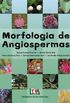 Morfologia de Angiospermas