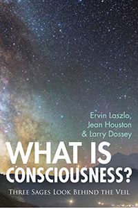 What is Consciousness?: Three Sages Look Behind the Veil (A New Paradigm Book) (English Edition)