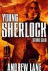 Stone Cold (Young Sherlock Holmes Book 7) (English Edition)