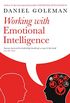 Working with Emotional Intelligence (English Edition)