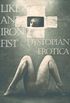 Like an Iron Fist: Dystopia Erotica (Erotic Fantasy & Science Fiction Selections Book 23) (English Edition)