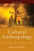 Cultural Anthropology: Tribes, States, and the Global System (English Edition)