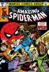 The Amazing Spider-Man #206