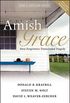 Amish Grace: How Forgiveness Transcended Tragedy (English Edition)