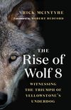 The Rise of Wolf 8: Witnessing the Triumph of Yellowstone