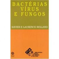 Bactrias, vrus e fungos
