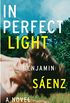 In Perfect Light: A Novel