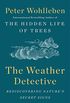 The Weather Detective: Rediscovering Nature