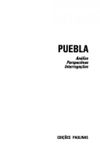 Puebla: anlises, perspectivas e interrogaes