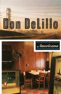 Americana (Contemporary American fiction) (English Edition)