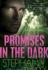 Promises in the Dark (Shadow Force Series Book 2)