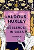 Geblendet in Gaza: Roman (German Edition)