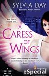 Uma carcia de asas - A caress of wings