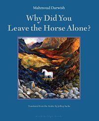 Why Did You Leave the Horse Alone? (English Edition)
