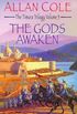 The Gods Awaken: Timura Trilogy 3