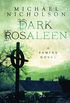 Dark Rosaleen: A Famine Novel (English Edition)