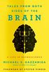 Tales from Both Sides of the Brain: A Life in Neuroscience (English Edition)